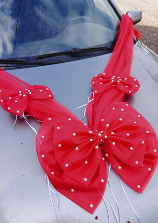 Decor masina Big Bow and Pearls [3]