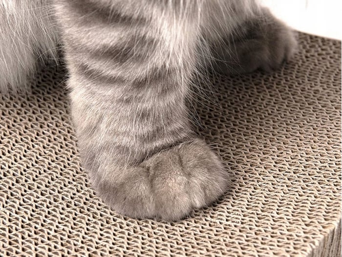 Suport pentru Ascuțit Ghearele [5]