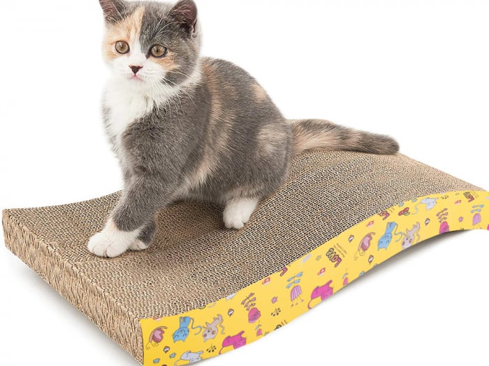 Suport pentru Ascuțit Ghearele [2]