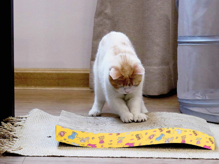 Suport pentru Ascuțit Ghearele [3]