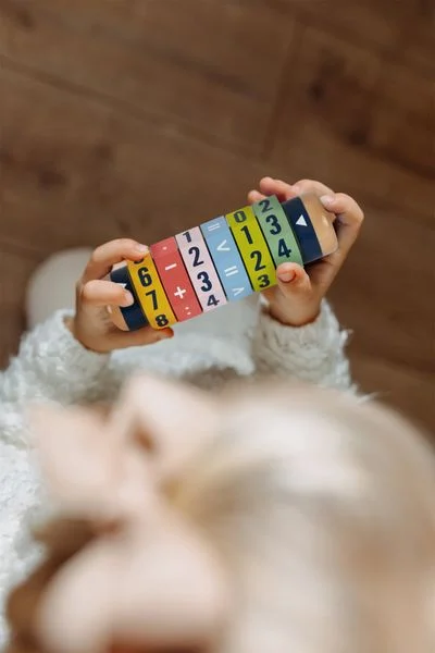 calculator cu rotitor din lemn [2]