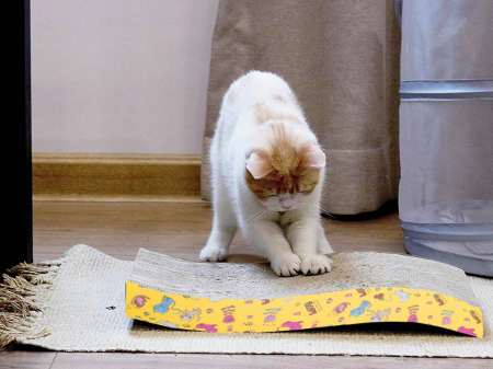 Suport pentru Ascuțit Ghearele [2]