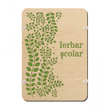 Noutati - Ierbar Scolar din Lemn Decupat