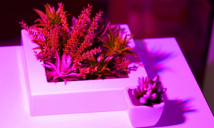 Lampă cu 200 LED-uri pentru creșterea plantelor [19]
