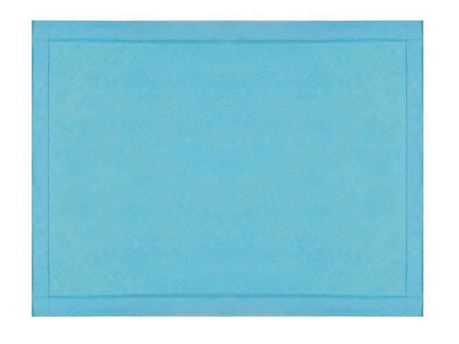 Set Paduri Igienice Absorbante – 50 bucăți [6]