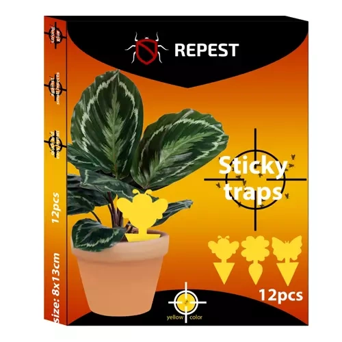 lipici-insecte-12-buc-repest-19053 [2]