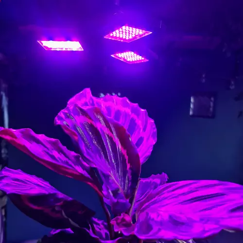 Lampa cresterea plantelor 108 Leduri [5]