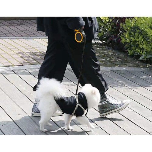 Lesă automată pentru câini 5m/15kg [13]
