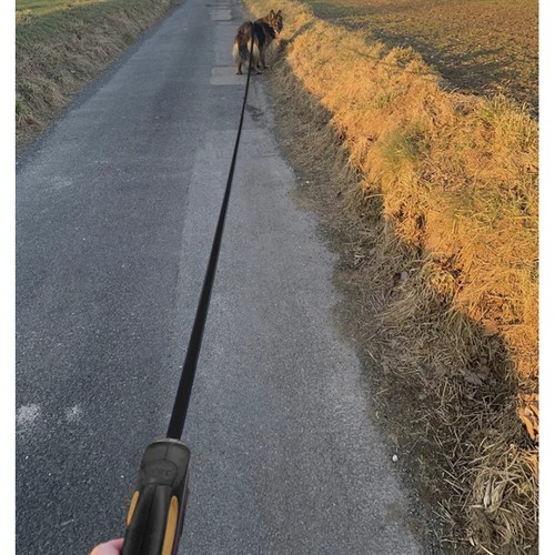 Lesă automată pentru câini 5m/15kg [11]