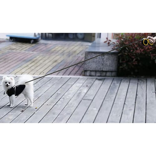 Lesă automată pentru câini 5m/15kg [12]