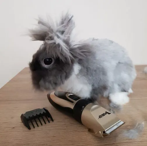 Mașină de tuns câini, animale de companie – set Purlov [9]