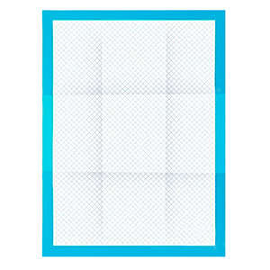 Pachet igienic absorbant - 100 buc + saci [10]
