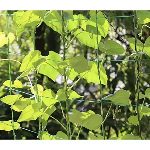 Plasă - suport pentru plante 2x10m [8]