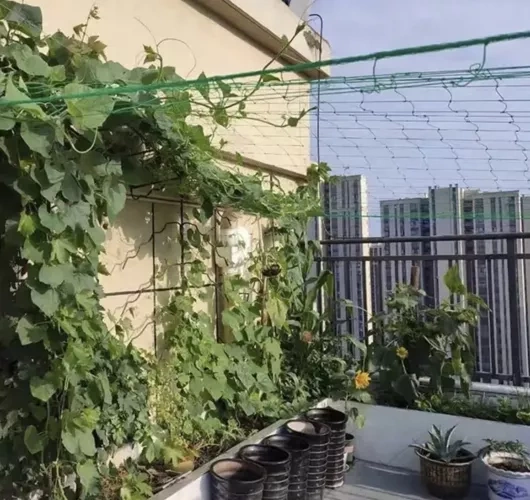 Plasă - suport pentru plante 2x10m [7]
