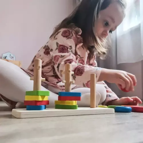 Sortator de puzzle din lemn [11]