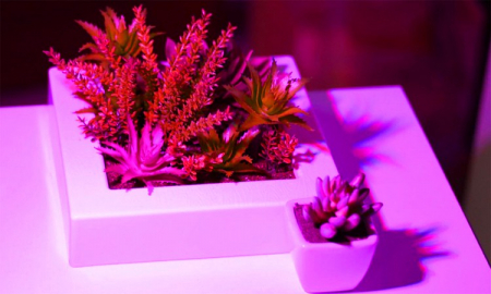 Lampă cu 200 LED-uri pentru creșterea plantelor [18]