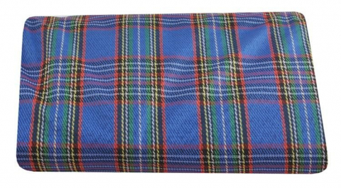 Covor de picnic 145x180 basic - albastru [5]