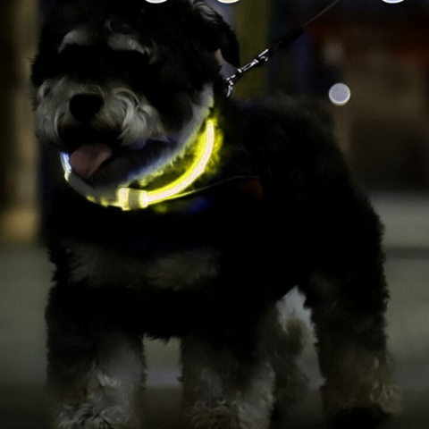Guler LED luminos - ajustabil [6]