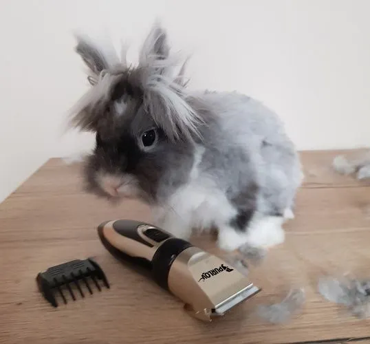 Mașină de tuns câini, animale de companie – set Purlov [6]