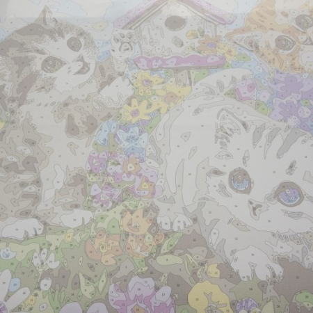 Pictură după numere 40x50cm - Pisici Maaleo 22781 [9]