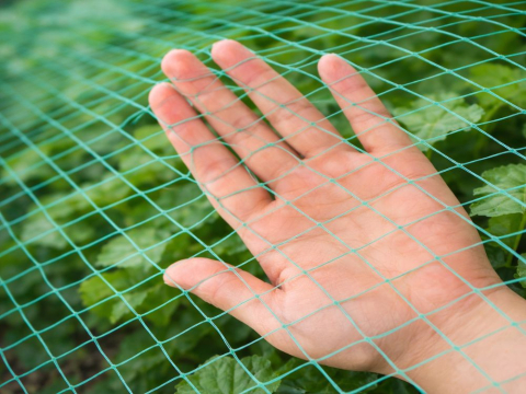 Plasă pentru păsări – plasă de protecție 2x10m pentru grădini, copaci și pomi fructiferi – rezistentă [7]