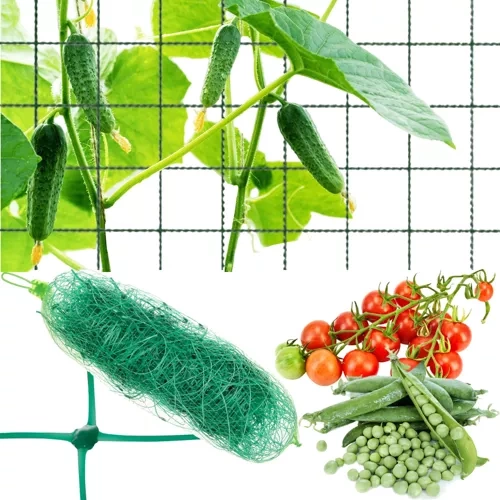 Accesorii gradina - Plasă - suport pentru plante 2x10m