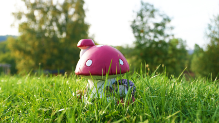 Închiriere Căsuța Melimi din MELIMILAND [4]