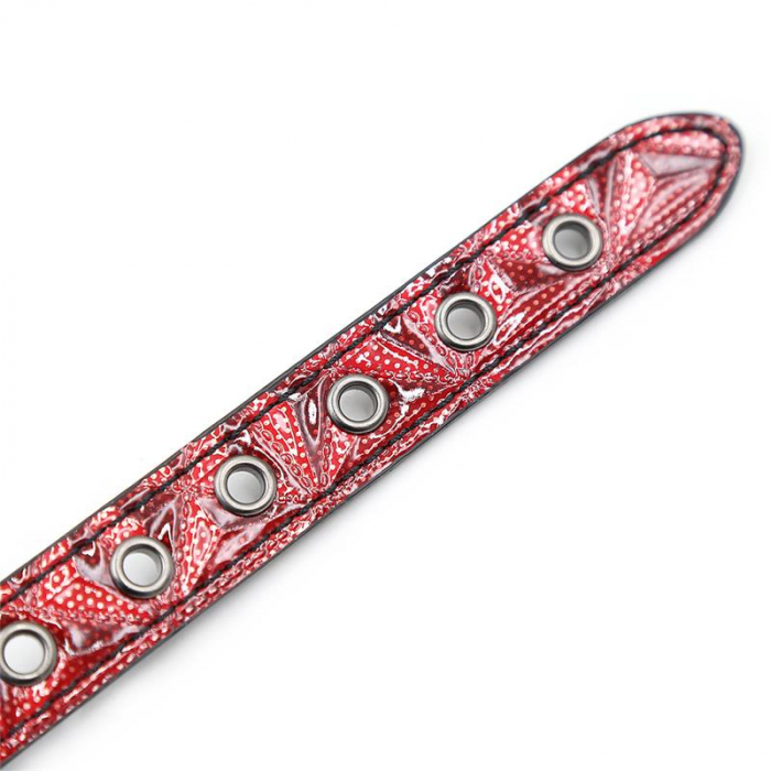 căluș cu bilă INTOYOU diamond line, din piele [6]