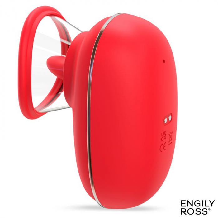 simulator ENGILY [5]