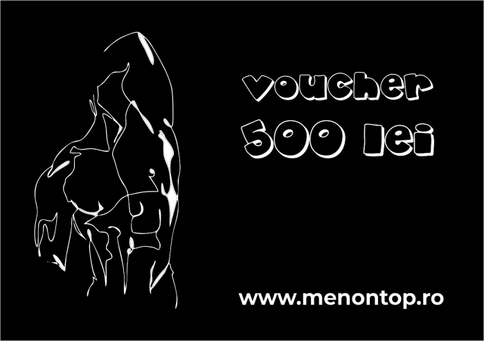 voucher 500 lei [1]