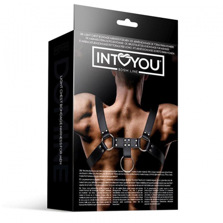 ham piept INTOYOU DOMINE [3]