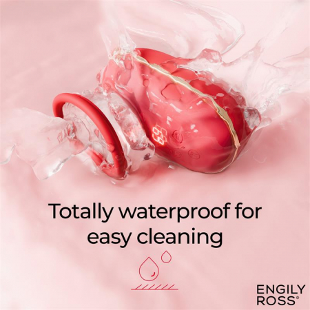 simulator ENGILY [7]