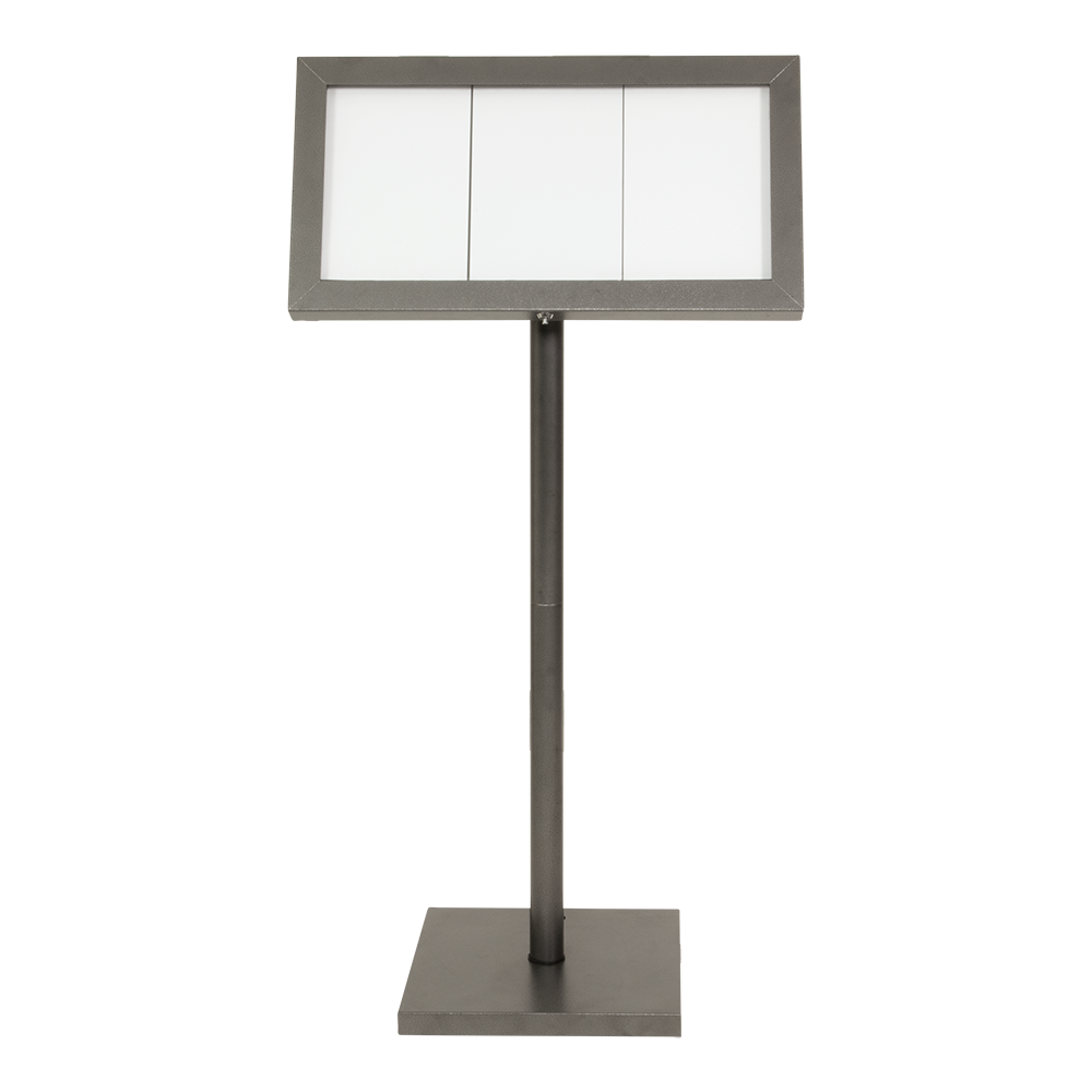 Display 3xA4 iluminat LED si telecomanda [3]