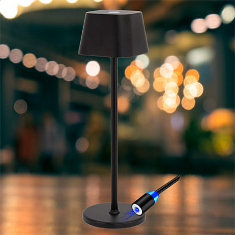 Lampa de masa interior-exterior fara fir Georgina [1]