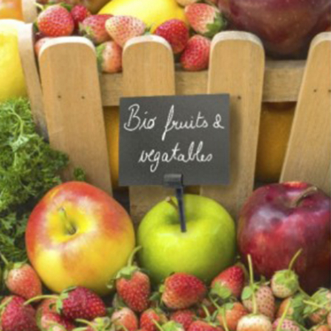 Set 20 suporti tip tepusa pentru placute etichete [2]