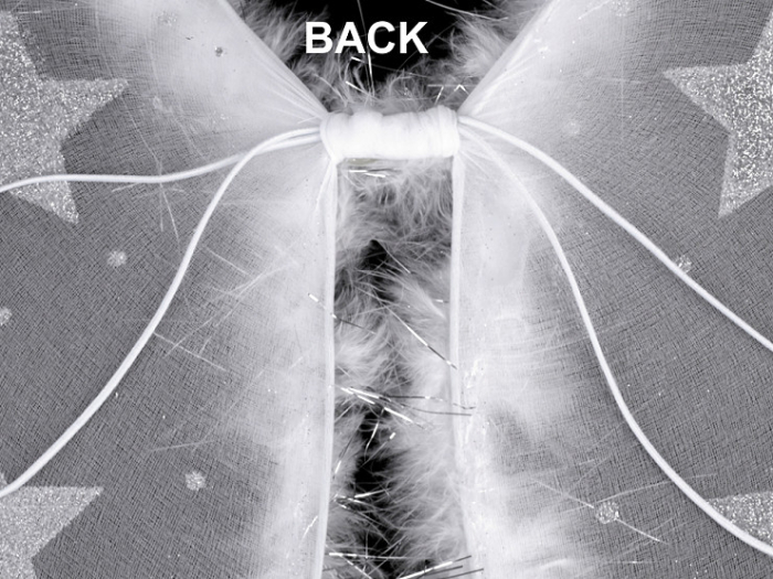 aripi de inger cu stelute [3]