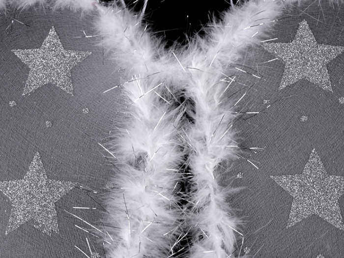 aripi de inger cu stelute [2]