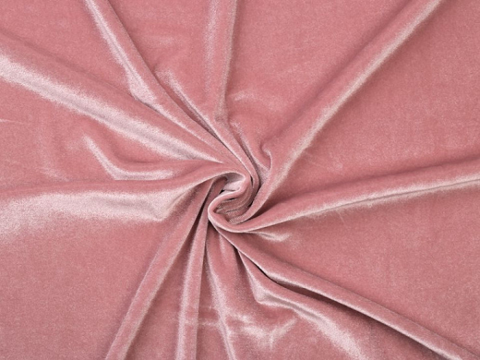 catifea elastica [1]