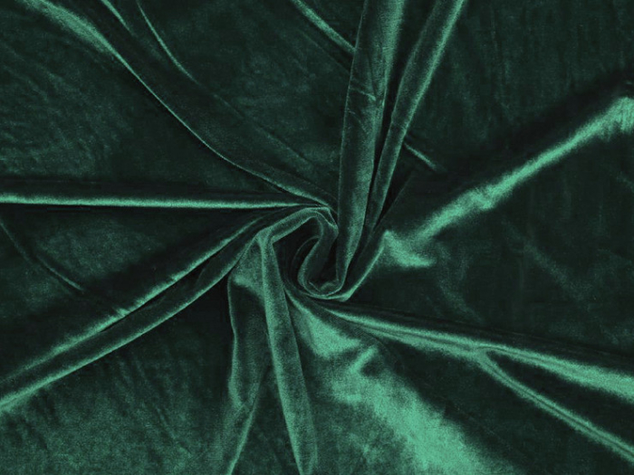 catifea elastica [1]