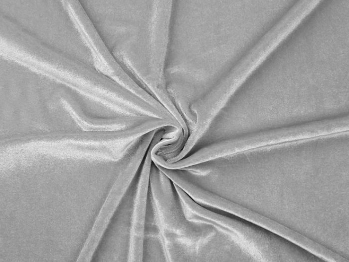 catifea elastica [1]