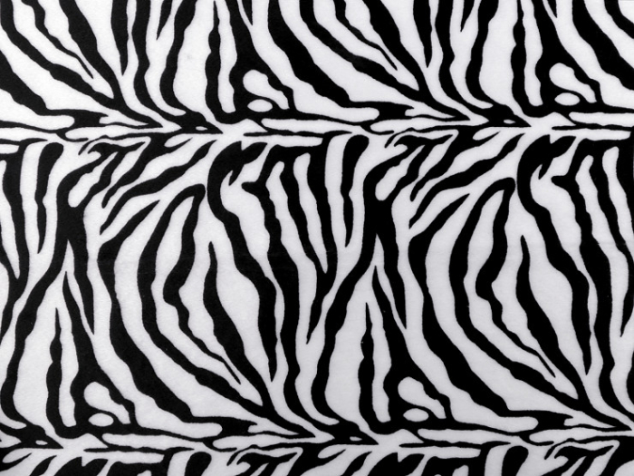 imitatie de piele zebra [2]