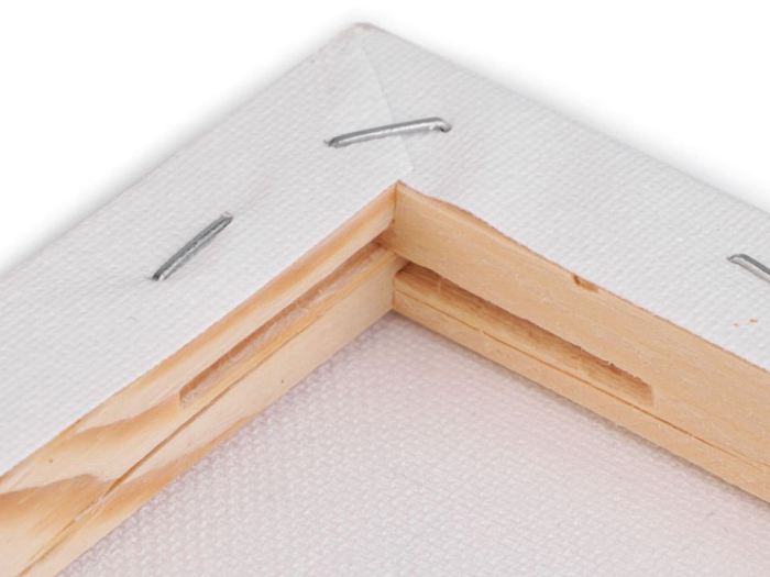 panza pictura pe rama [3]