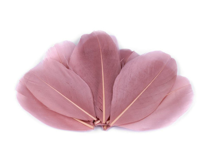 pene decorative gasca 5-7cm [1]