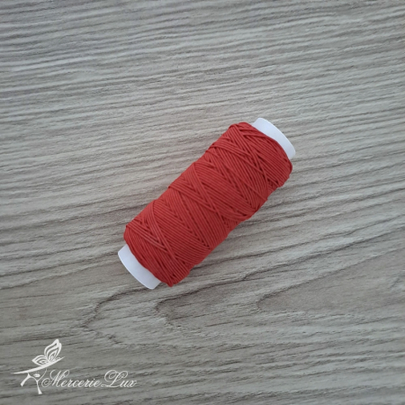 Ata Elastica - ata elastica papiota