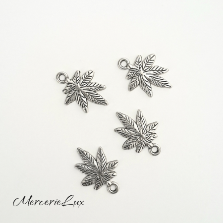 Charm-uri - charm frunza