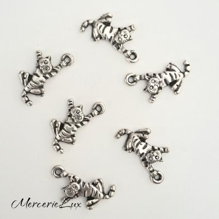 Charm-uri - charm tigru