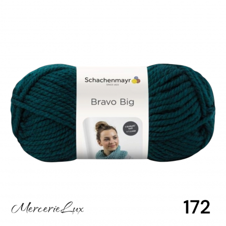 BRAVO BIG - bravo big schachenmayr fir tricotat