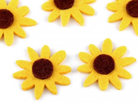 Pasla-Fetru - floarea soarelui fetru