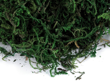 PRIMAVARA-MARTISOR SI SARBATOARE PASTE - muschi decorativ 50g