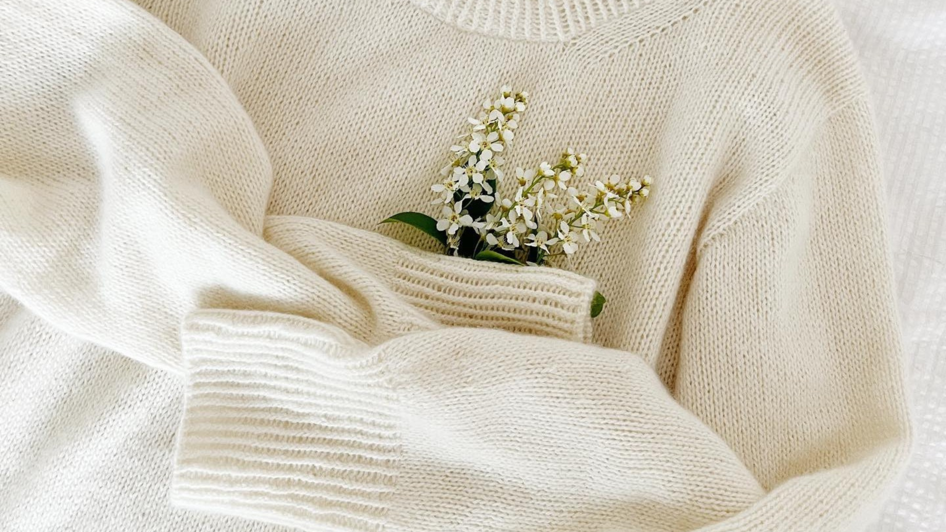 cardigan-alb-cloud-dancer